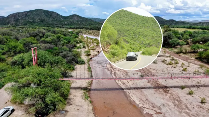 Lluvias reverdecen la ruta del Río Sonora: crece el cauce cerca de Ures y el ganado vuelve por agua y pasto