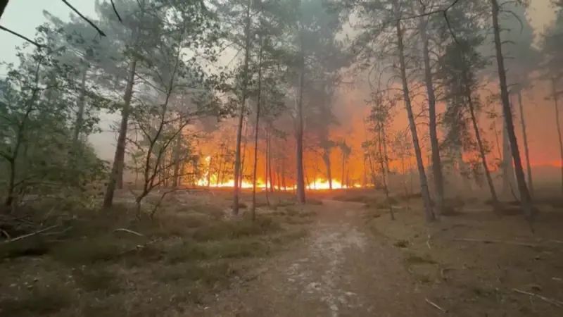 Un incendio arrasa el bosque de Fontainebleau, cerca de París