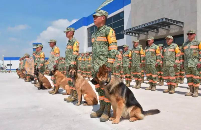 Max, el perro rescatista mexicano, resultó herido tras ayudar a salvar a siete personas y tres perros entre los escombros en Venezuela