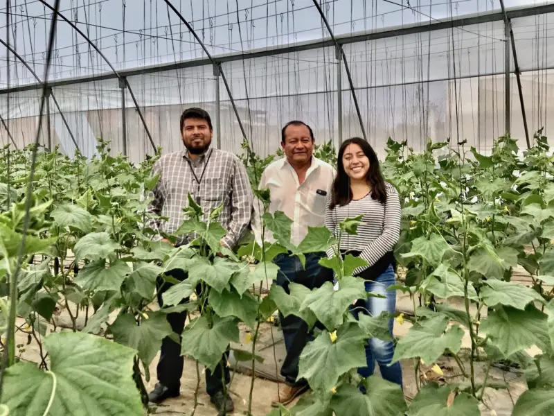 Earth-IoT: La startup mexicana que quiere convertirse en el Uber del campo