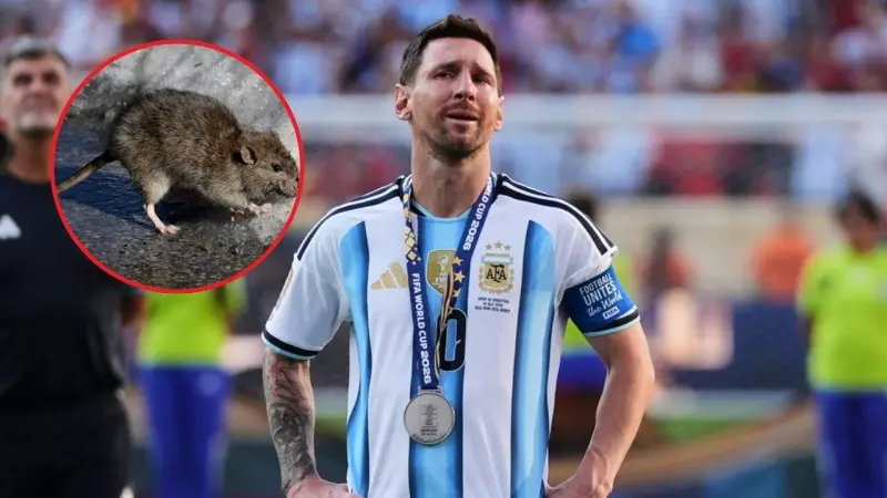 “Es Messi”: Aficionados se burlan del argentino tras compararlo con una rata de la calle (VIDEO)