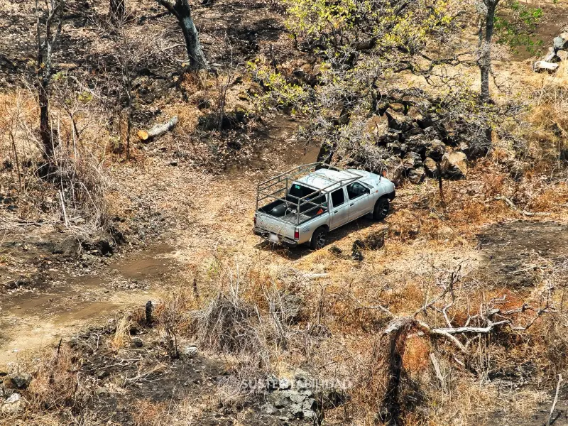 Tiempos Modernos: Se reducen incendios; capturar a los provocadores