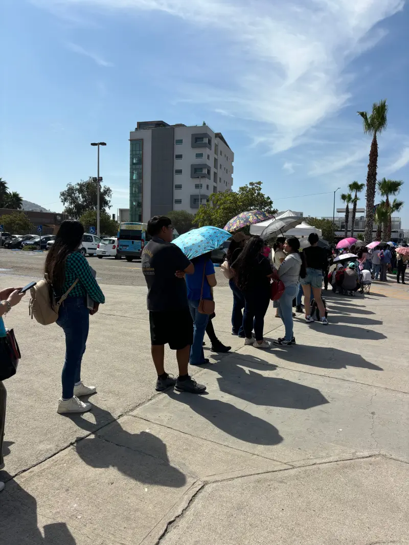 Persisten largas filas para tramitar la Tarjeta Violeta en Tijuana; mujeres esperan hasta 10 horas
