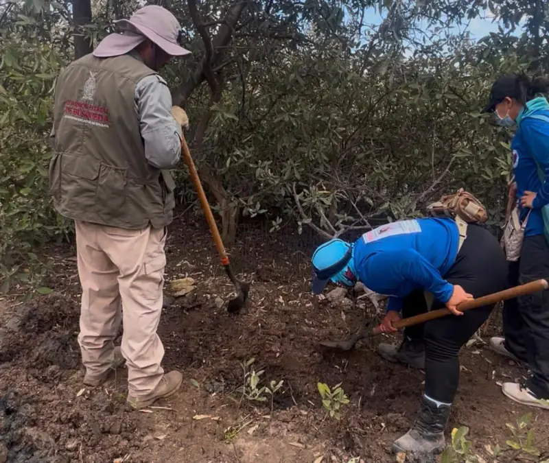 Denuncian buscadoras que durante sus búsquedas en Rosario, fueron atacadas por drones y explosivos