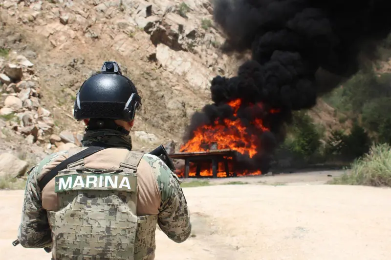 Marina y FGR destruyen más de 3.5 toneladas de cocaína asegurada en operativos en Guerrero