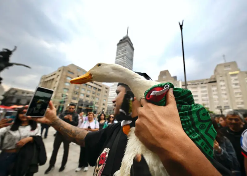 De vender aguas a conquistar el Mundial, la historia del Pato Merlín y su registro de marca