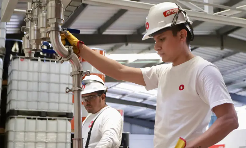 Descartan crisis laboral por ajustes temporales en empleo formal