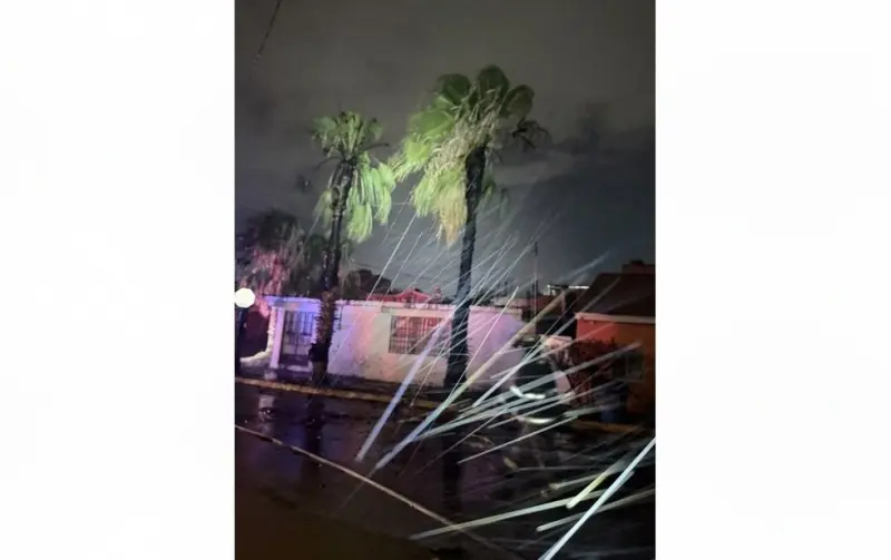 Rayo incendia dos palmeras en la colonia San Antonio