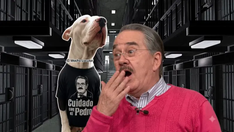 Tras caso Pedro Sola, diputados buscarán castigar la apología de maltrato animal e incluso proponen cárcel al cometerlo