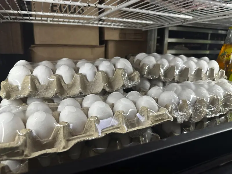 Retiran del mercado 1.5 millones de docenas de huevos por posible contaminación con salmonela