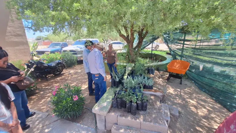 Vivero Estatal de Sonora regala plantas y árboles frutales; ciudadanos pueden solicitar hasta cinco especies cada mes: ¿dónde se ubica en Hermosillo?