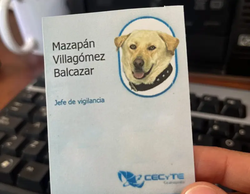 Oreo y Mazapán fortalecen comunidad educativa