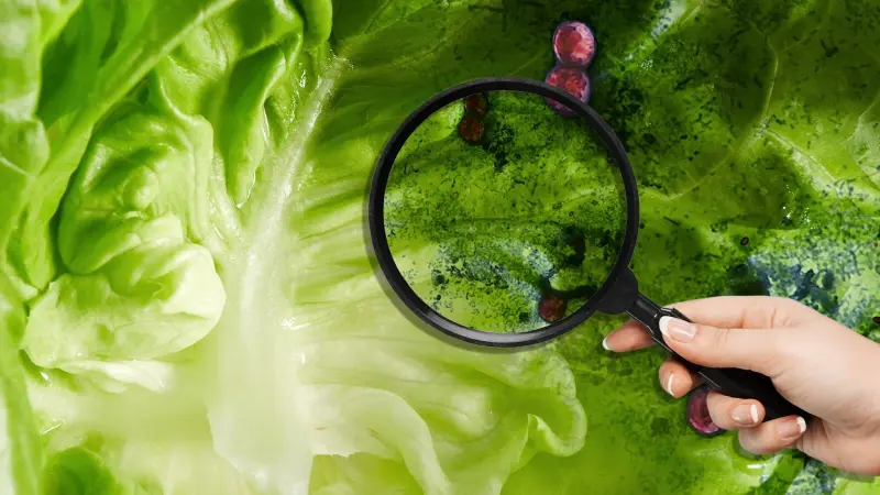Casos de ‘diarrea explosiva’ en EU: Michigan apunta a la lechuga de ensalada como posible causa