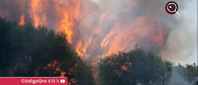 Macron expresa solidaridad a España, Italia y Grecia; Francia también combate incendios
