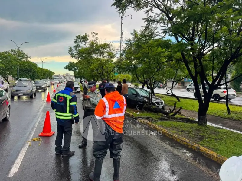 Auto choca contra un árbol en Paseo de la República; no hubo lesionados