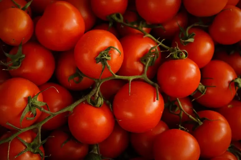 Tomates cherry: por qué deberías incluirlos en tu dieta diaria