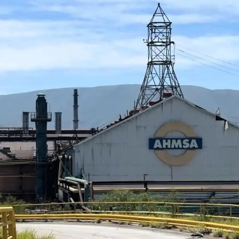 Arranca fase clave para la venta de AHMSA y MINOSA; juzgado inicia análisis de las bases para la subasta