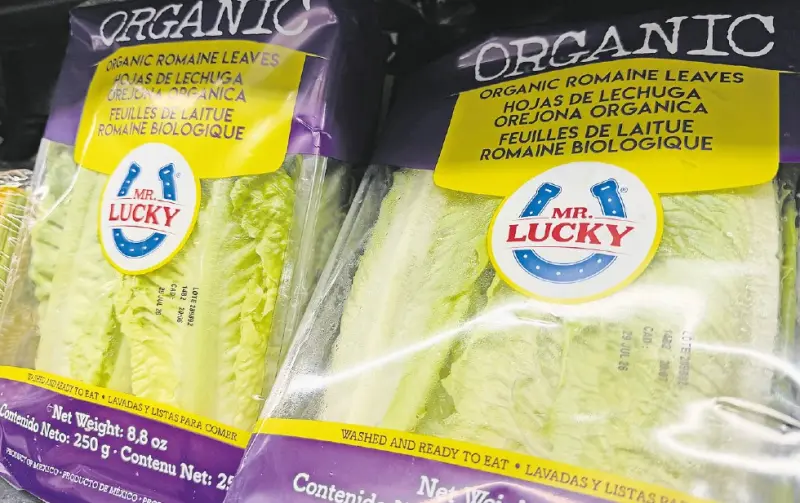 Pide Canaco cautela ante ciclosporiasis en EU