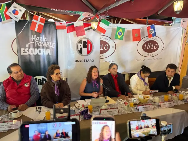 Solo cinco diputadas apoyaron más espacios para mujeres en reforma electoral, acusa Adriana Meza