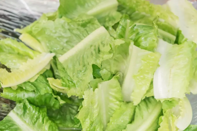 Taylor Farms frena planta en Guanajuato por revisión de Cyclospora