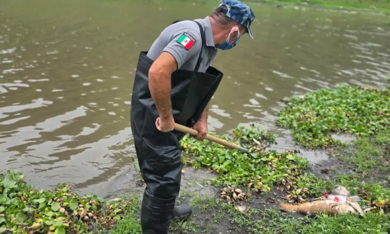 Conagua atiende afectaciones en la presa El Batán