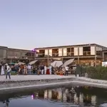 Celebran Vendimia de Viñedos El Sueño
