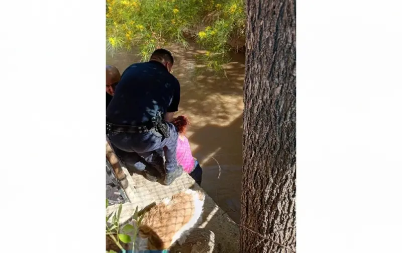 Rescatan a perrito atrapado en canal de riego en la Bellavista