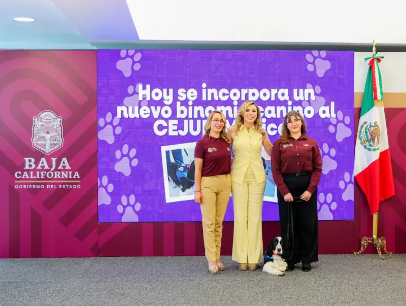 Toña, Dora y ahora Vera: los perros que ayudan a niñas y niños víctimas de violencia en Baja California