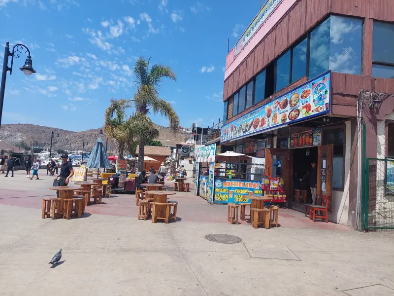 Operación Marea intensifica revisiones en Ensenada