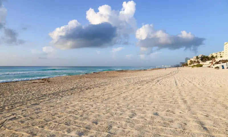 Limpian playas de Cancún; retiran más de 37 mil toneladas de sargazo