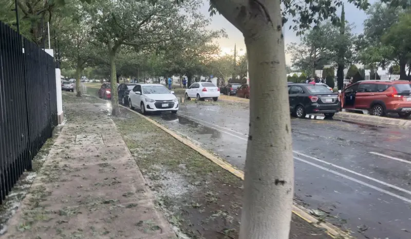 Ráfagas de viento de hasta 64 km afectaron Corregidora