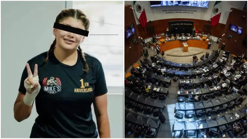 Caso Dafne Zapata: Senado revisará reglamento de academias militarizadas... de hace más de 80 años