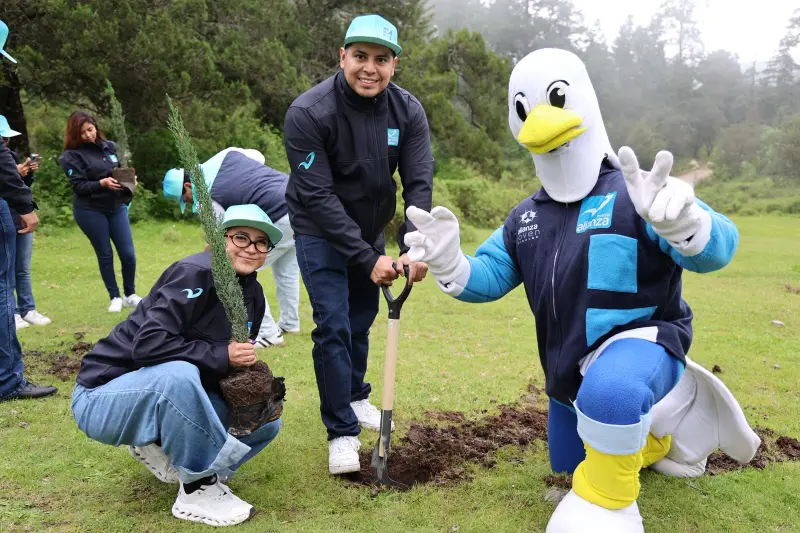 Apuesta Nueva Alianza Hidalgo por la reforestación en el estado