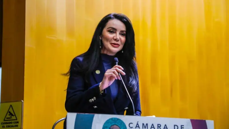 Paquete Económico 2027: Gabriela Jiménez propone actualizar cuotas por uso del espacio aéreo
