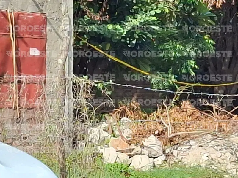 Localizan asesinada a una mujer en la Colonia Mazatlán III, en el puerto