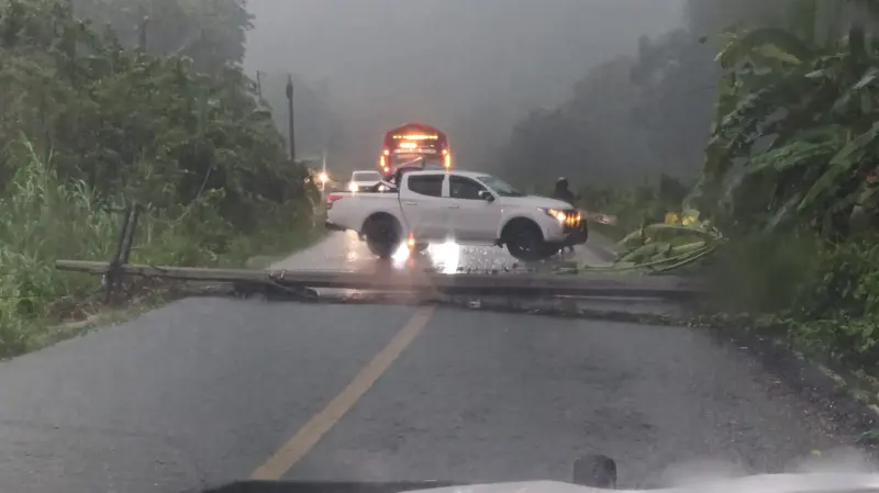 Colapsa poste y bloquea la carretera federal 175 en Jacatepec