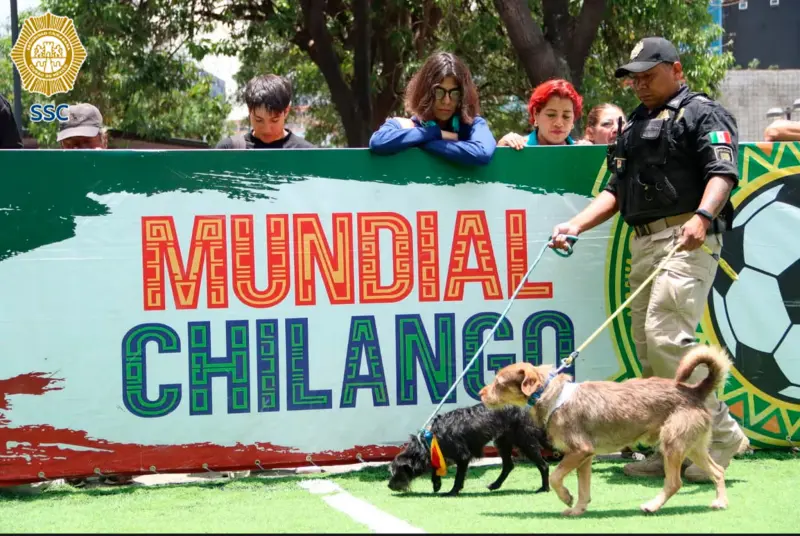 ¡Golazo por los lomitos y michis! Adoptan a 15 animales en la Glorieta de Insurgentes