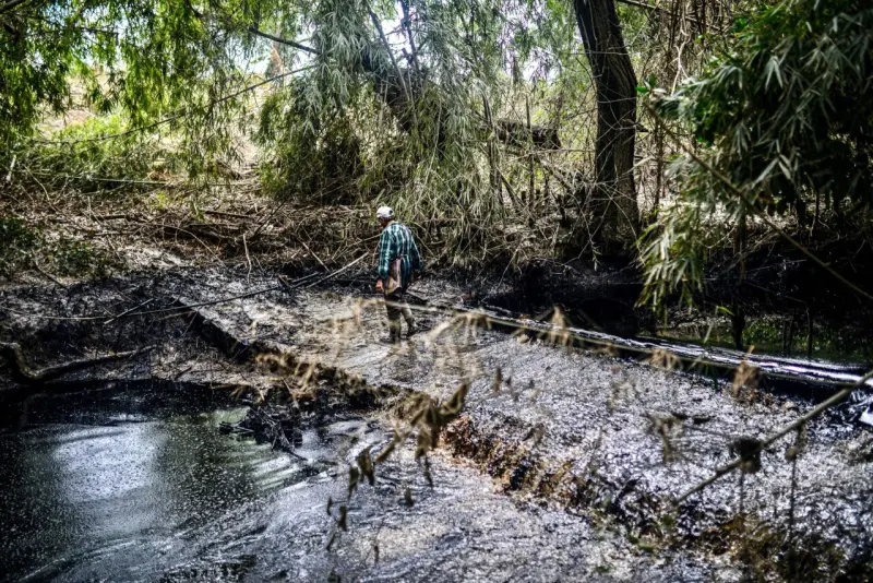 Pescadores afectados por derrame de Pemex presentan amparo para obtener indemnizaciones