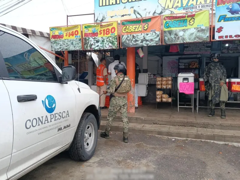Incautan más de 3 toneladas de producto marino en Puerto Vallarta