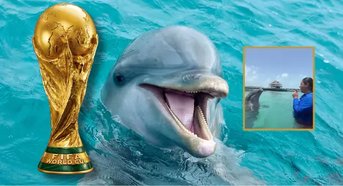 ¿España o Argentina? El delfín ‘Hidalgo’ ya eligió a su favorito para la final de la Copa Mundial 2026 y el video se vuelve viral