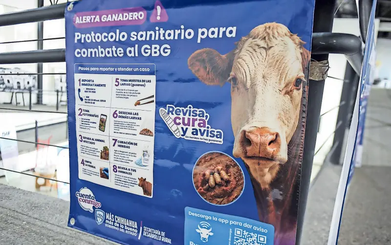 ‘Difundirán reglas al abrir la frontera’