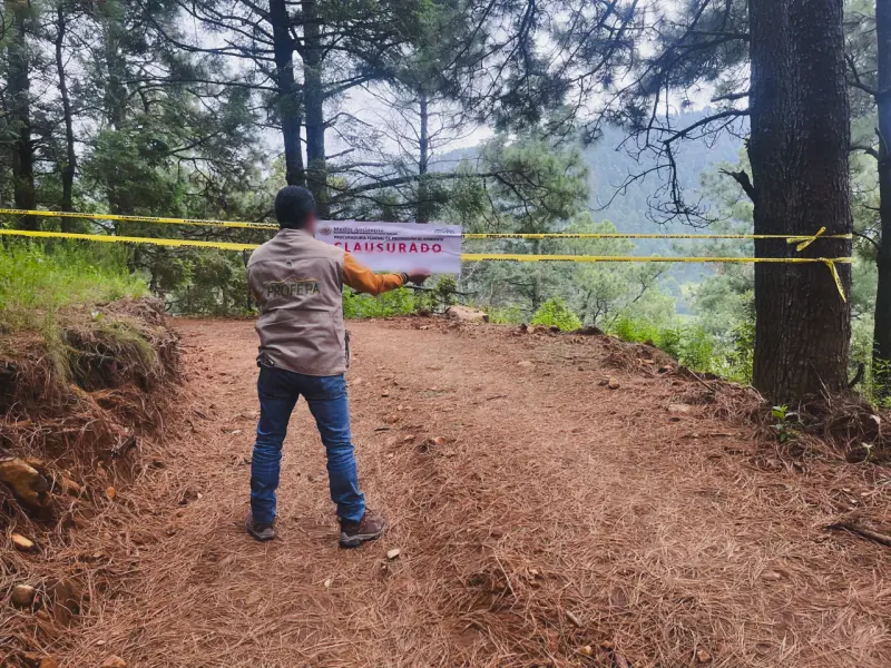 Detecta Profepa daños ambientales y clausuran 2 predios en Ocoyoacac