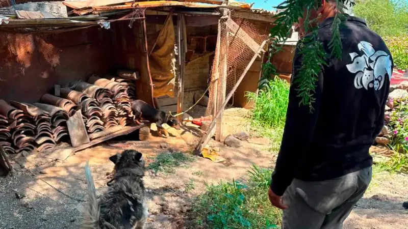 Atiende IMPA reporte por posible maltrato animal en la comunidad de La Providencia