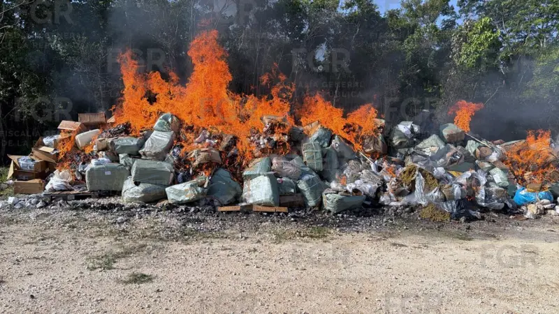 Incinera FGR cerca de 185 kilos de narcóticos en Quintana Roo