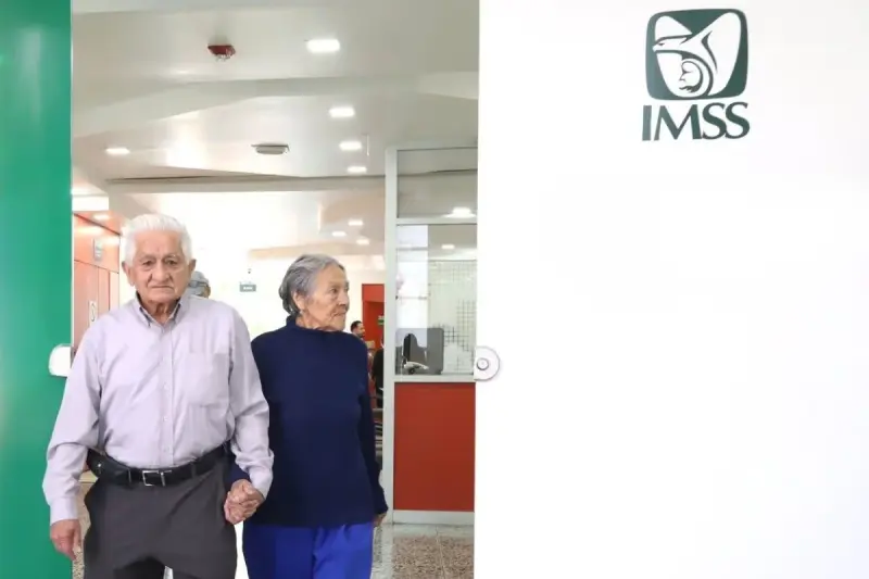 Ley 97 del IMSS: guía para elegir la modalidad de tu pensión