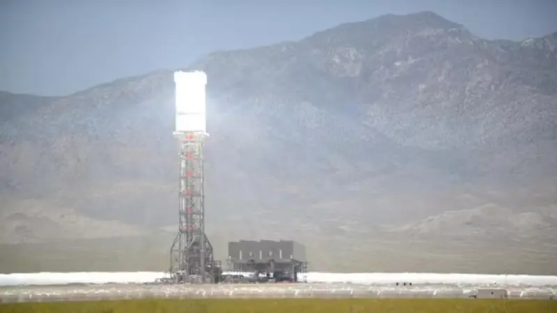 El auge de la energía solar en China disminuye la diversidad de aves, revela estudio
