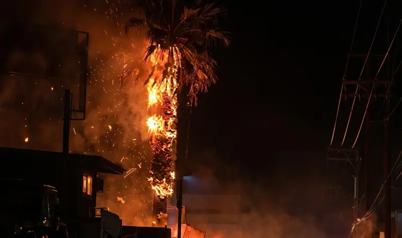Ataque con presunto explosivo contra comandancia de Ojocaliente, Zacatecas, deja siete personas heridas y obliga a cancelar feria, coronación y clases