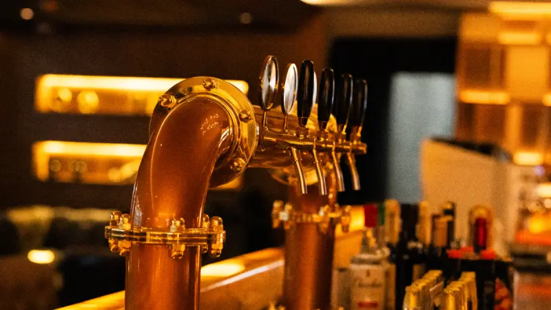 ¿Qué cerveza estás tomando? Las tres familias que definen su sabor, aroma y fermentación
