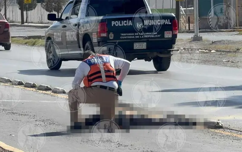 Este año, 16 transeúntes muertos en atropellos