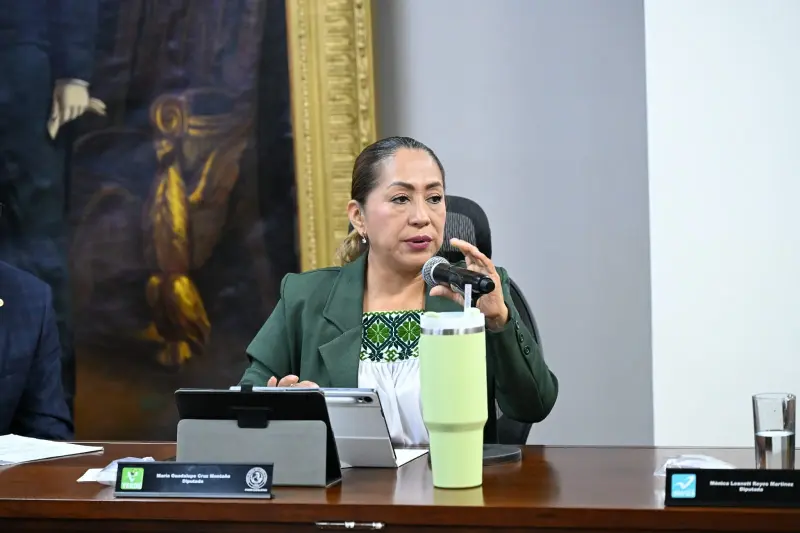 Propone diputada etiquetar recursos para obras en comunidades indígenas de Hidalgo